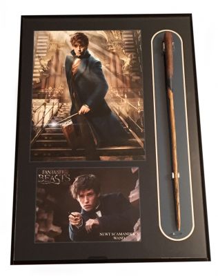 Newt Scamander's (Eddie Redmayne) Wand
The adventures of writer Newt Scamander in New York's secret community of witches and wizards, taking place seventy years before Harry Potter attends Hogwarts. Newt Scamander (Eddie Redmayne), an eccentric, introverted wizard, the future author of the textbook Fantastic Beasts and Where to Find Them and an employee at the British Ministry of Magic. This is Newtâ€™s screen used wizard wand from the 2016 film. This wand can be seen on the films poster along with multiple scenes throughout the film and a major prop from the upcoming series.
Keywords: Newt Scamander's (Eddie Redmayne) Wand